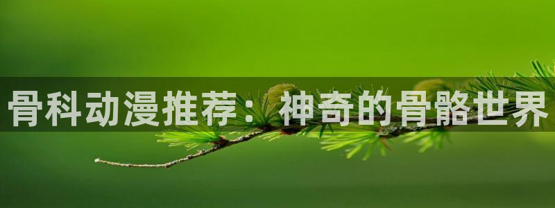 里番动漫下载入口