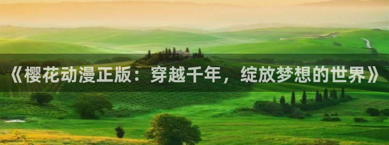 age专注动漫的门户网站