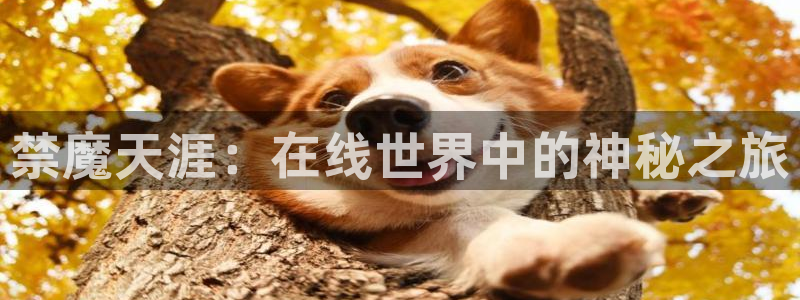 里番动漫下载动漫全免费