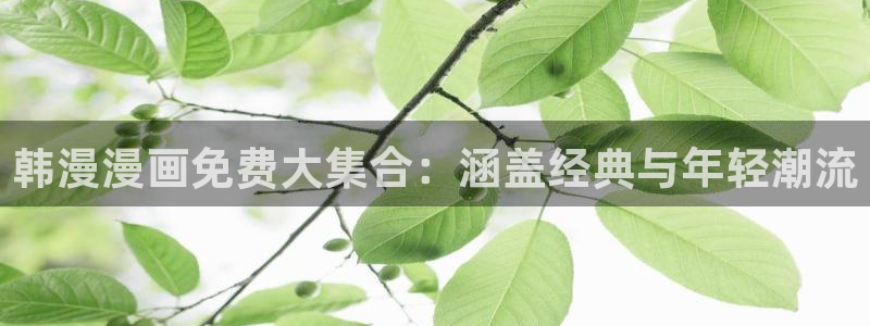 里番动漫omofun