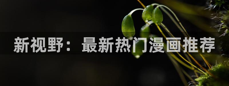 lovestage漫画免费阅读