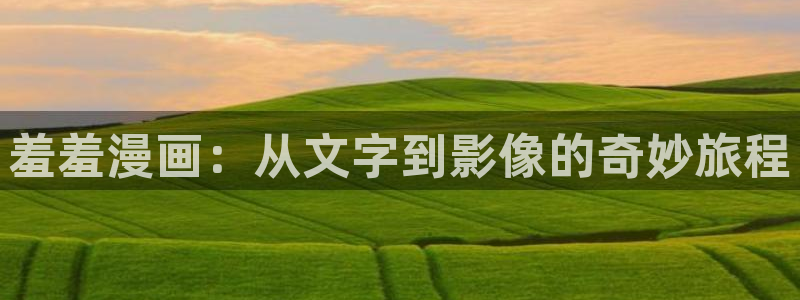 里番动漫下载入口