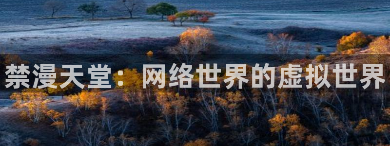 拷贝漫画 copymanager.ory网站