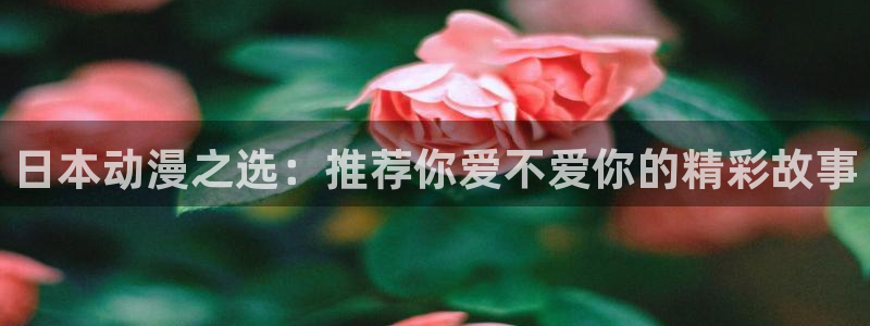 里番动漫官网版入口