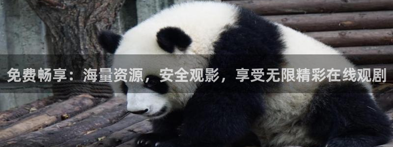 kakaopage韩漫官网