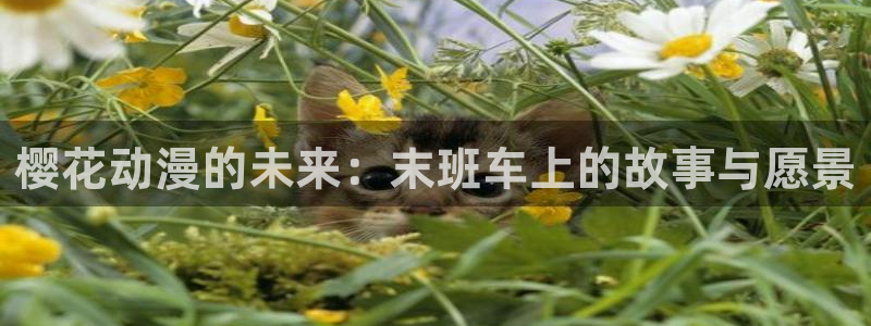 里番动漫樱花