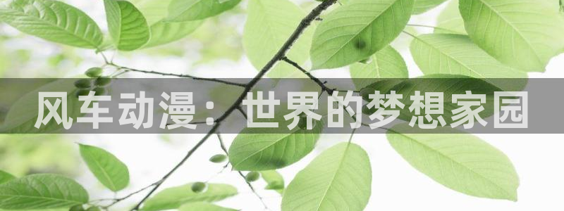 里番动漫网上看