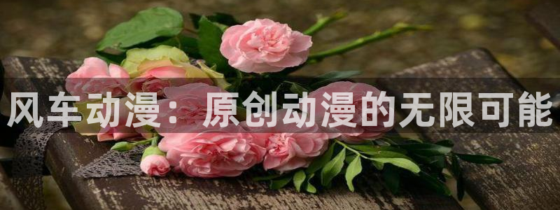 里番动漫下载入口：风车动漫：原创动漫的无限可能