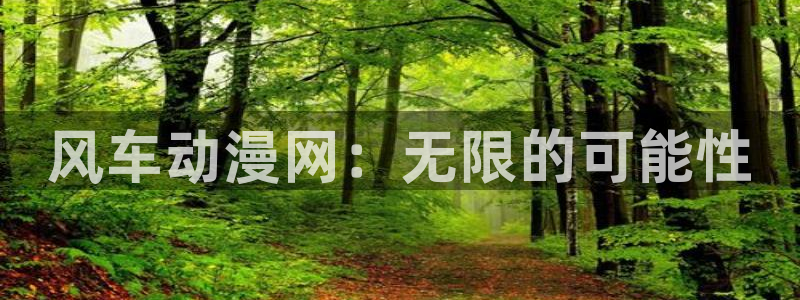 里番动漫网官网入口：风车动漫网：无限的可能性
