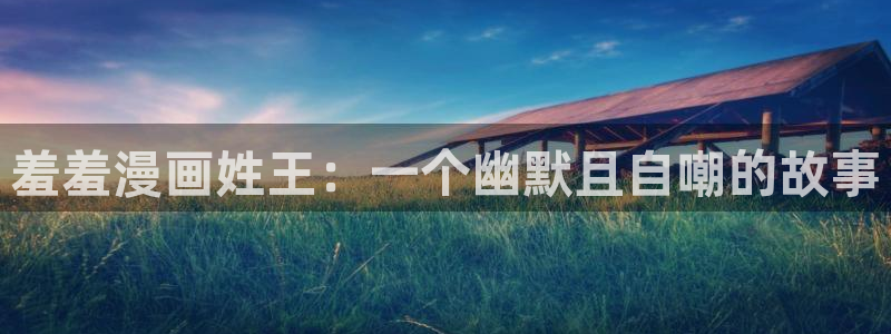 里番动漫官网网址：羞羞漫画姓王：一个幽默且自嘲的故事
