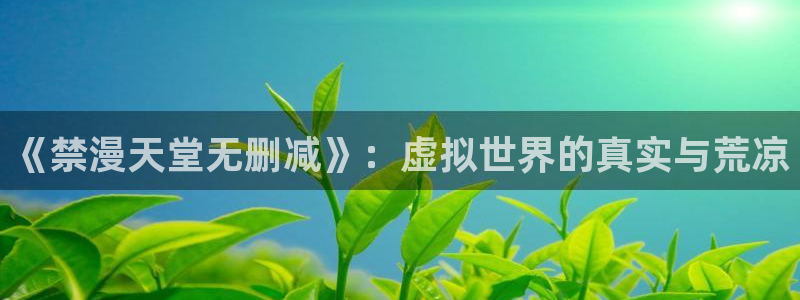 里番动漫网：《禁漫天堂无删减》：虚拟世界的真实与荒凉